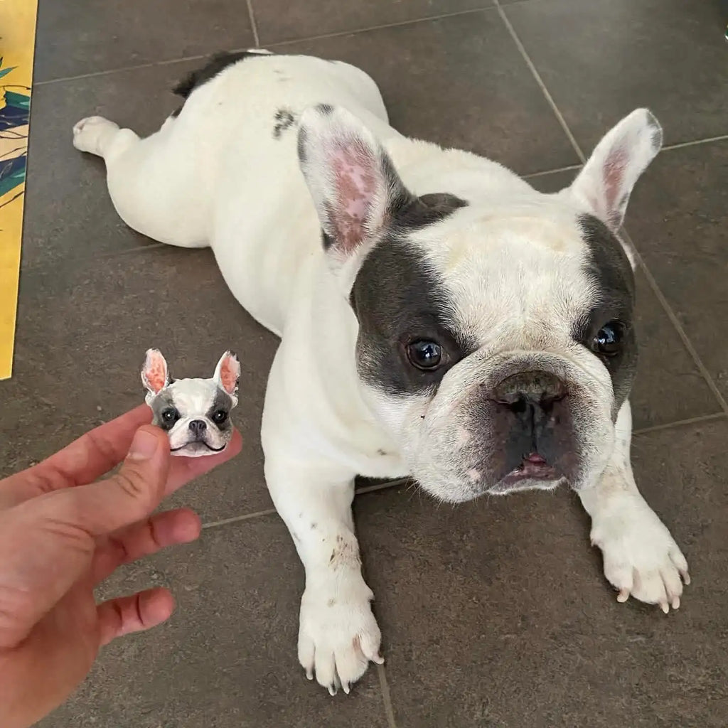 Figurine de tête d'animal de compagnie magnétique dessinée à la main