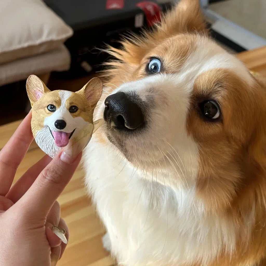 Figurine de tête d'animal de compagnie magnétique dessinée à la main
